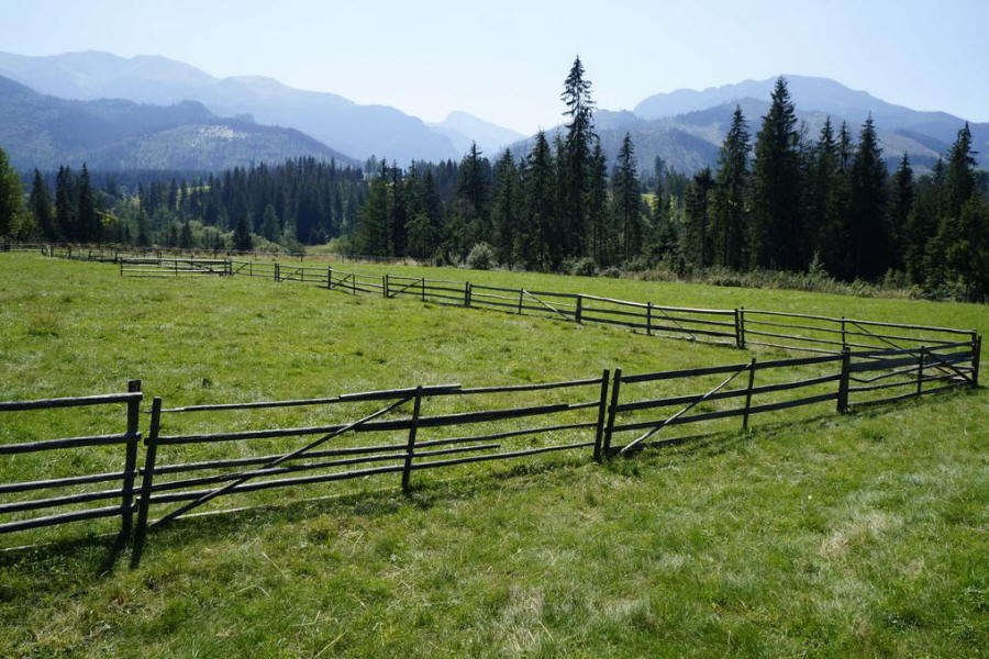 Квартира POD-SMERKIEM 03